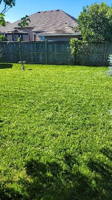 Landscaper labourer