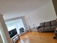 5.5 rénové RDC 3plex@5mn Dix30 Brossard M, Libre  1er juil
