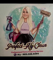 2 experienced cleaners