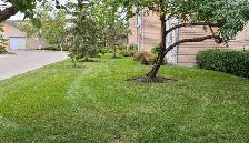 lawn care crew member