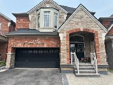Basement for Rent