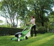 Hiring Lawn care