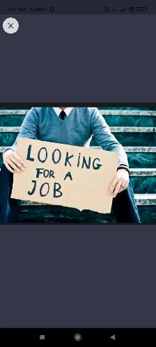 looking for Job