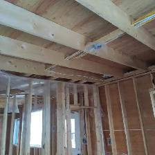 Carpenter and plumber