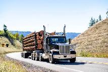 truck driver wanted