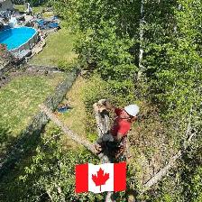 Wanted Immediately Arborist/ Climber Helper
