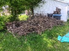 Offering $100 to remove brush
