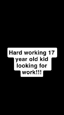Hard-working 17-year-old kid looking for work