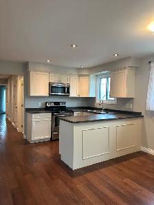 Beautiful 3 bedroom Apt avalible on Hamilton central Mountain