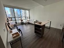 FURNISHED LUXURY 1-BEDROOM CONDO FOR RENT - DOWNTOWN TORONTO