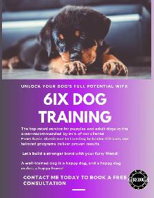 PUPPY AND ADULT DOG TRAINING