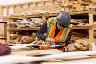 Carpenter Needed
