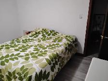 Room for Rent in Edmonton Riverbend Area