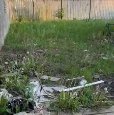 Part time hourly job for backyard cleaning.