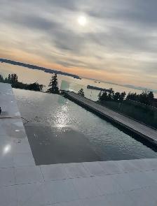 Looking for a Pool Cleaner Assistant