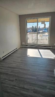 Newly renovated bachelor apartment for rent. $1000 plus hydro