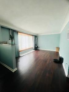 House for rent