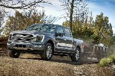 Truck/Trailer for hire