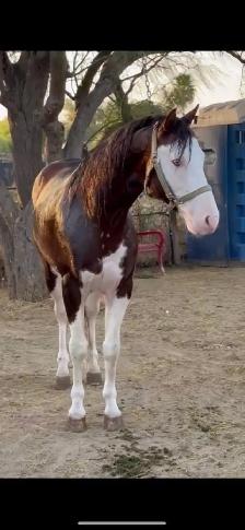 Ranch Hand wanted