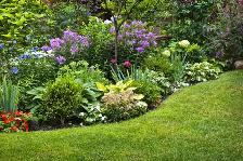 Summer Work: Landscape & Panoramic Lawn Sprinkler