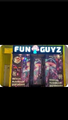 retail store funguyz