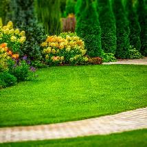 lawn care