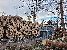 log truck driver
