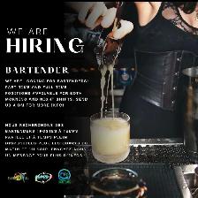 Barmaid recherchée/ Looking for barmaid