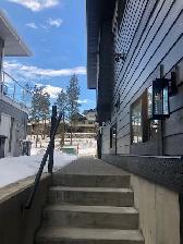 NEW 2 BEDROOM BASEMENT SUITE RENTAL