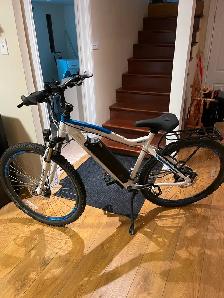 NCM Moscow Electric Bike