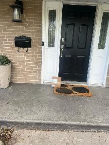 Delivery Driver with own car