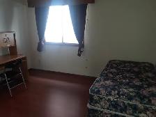 Room Near University for Rent