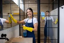 PROFESSIONAL CLEANERS WANTED
