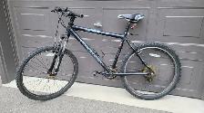 Opus Sonar Mountain Bike - Lovingly Used!