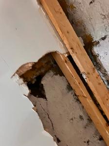 Need helper basement renovation