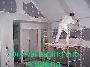 painter drywall repair looking for jobs