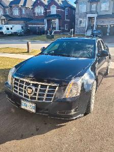 Professional Driver for Hire