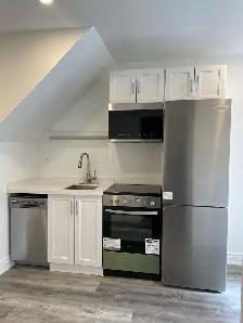 Leslieville/Beaches Brand New Basement Apartment