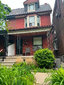 For Rent - 1   1 Basement Apartment in Trendy Little Italy