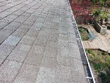 Low slope shingler needed ASAP.
