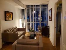 Beautiful Downtown Condo Fully Furnished (3 month rental)