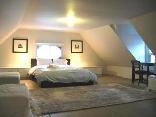 Furnished Downtown Rooms, Apartments and Condos