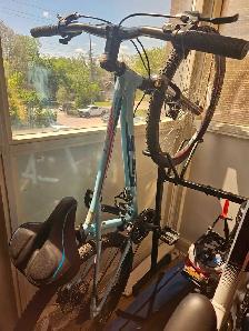 Women's GT Laguna Pro Cross Country Mountain bike