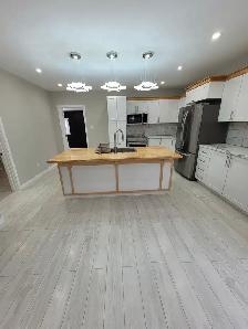 Beautiful Fully Renovated Modern Design 4 Bedroom House for Rent