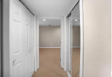 house basement for rent