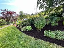 Professional Hardscape/Concrete/Softcape services.