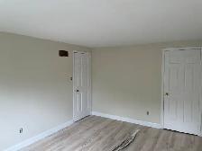 painter and drywal repair
