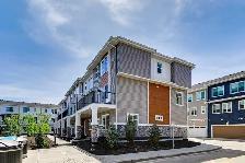 FOR RENT | Brand-New 4-Bedroom Townhome in Belmont, SW Calgary
