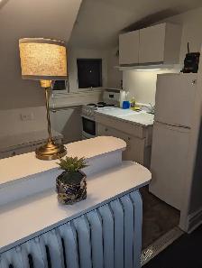 1 Bedroom Apartment for Rent (Locke St. Area)