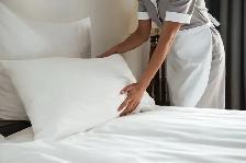 Motel Job Available for Student in Sarnia
